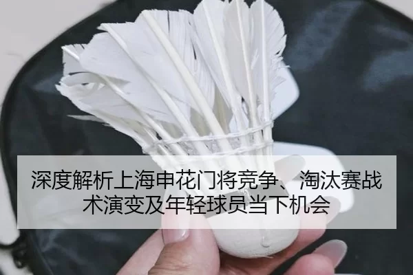 深度解析上海申花门将竞争、淘汰赛战术演变及年轻球员当下机会